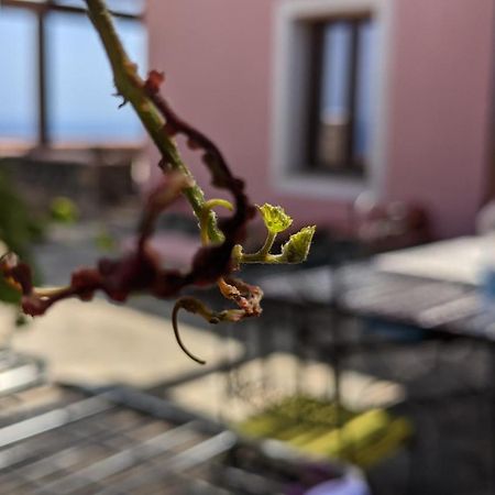Horizon Pantelleria Bed & Breakfast Campobello Eksteriør bilde