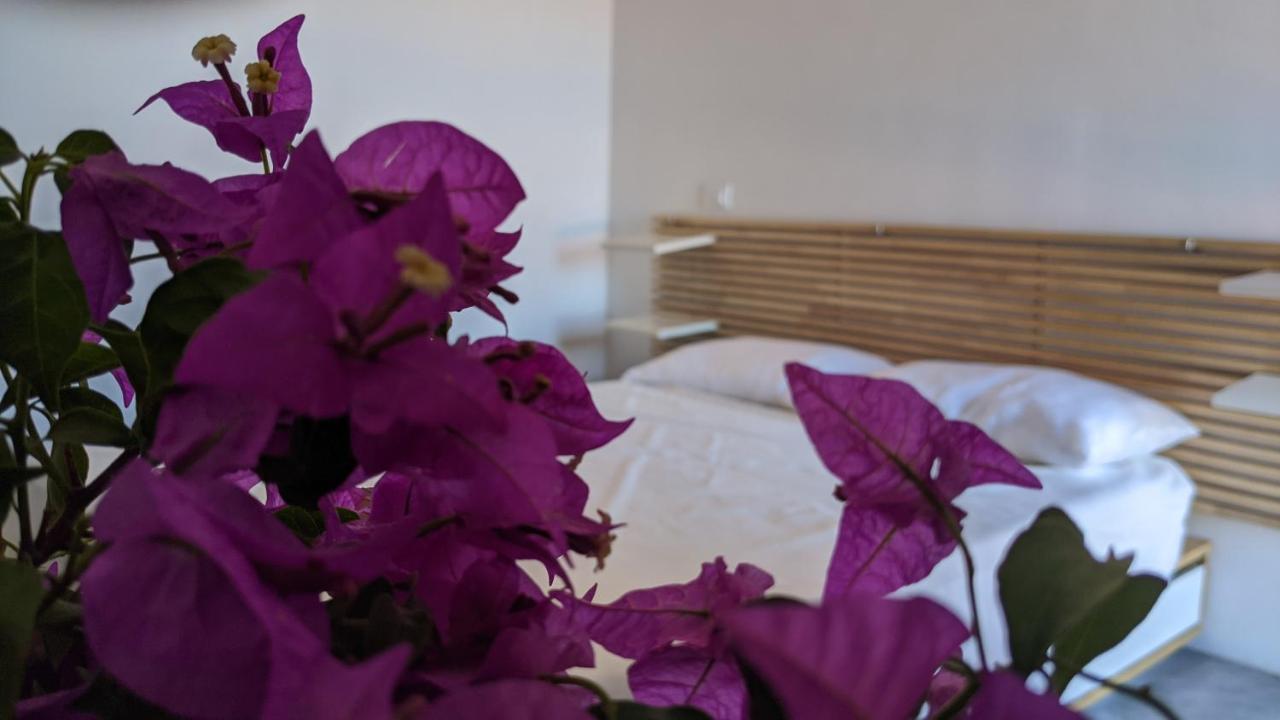 Horizon Pantelleria Bed & Breakfast Campobello Eksteriør bilde